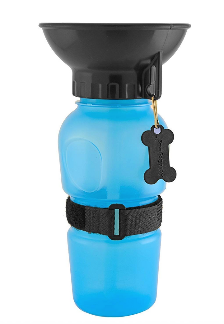 Collapsible Water Bottle