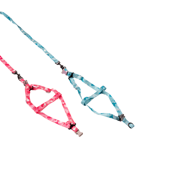 Dashy Harness Set