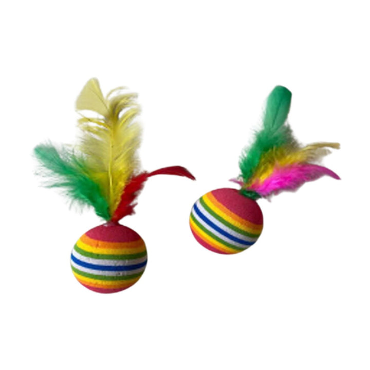 Multicolour Feather Ball - Fetch Catoz