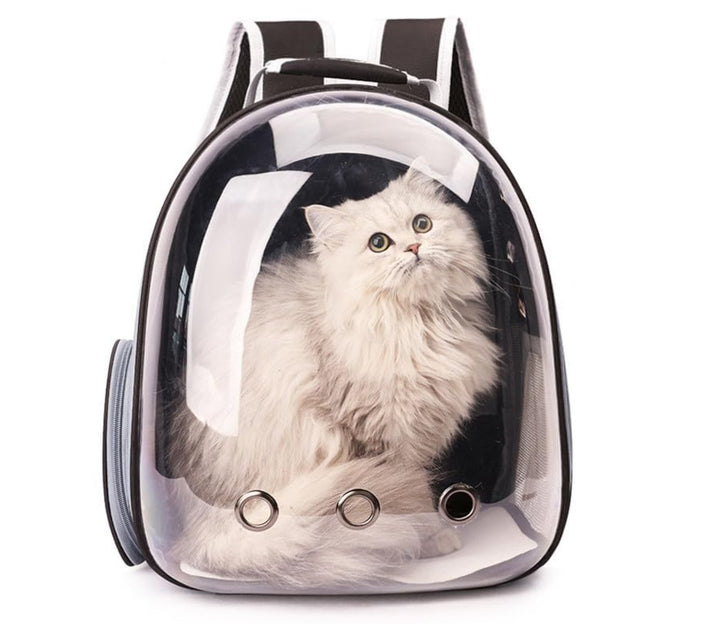 Pet Carry Bag - Transparent - Fetch Catoz