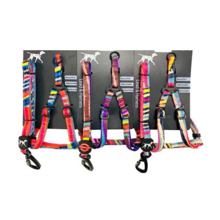 Pinata Harness Set - 15mm - Fetch Catoz