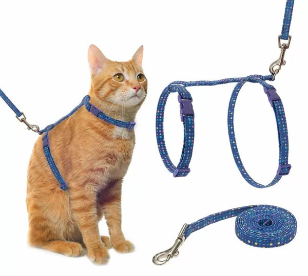 Polka Dot Harness Set - Fetch Catoz