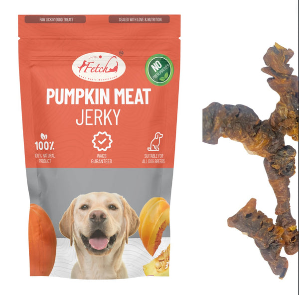 Pumpkin Meat Jerky - 80g - Fetch Catoz