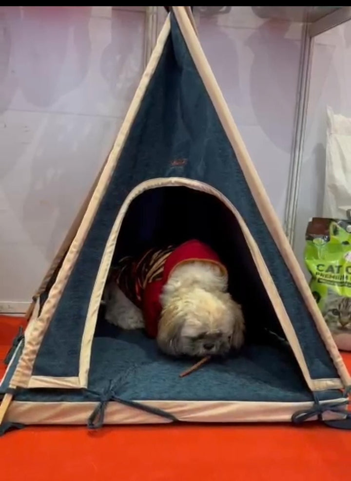 Tent House - Fetch Catoz